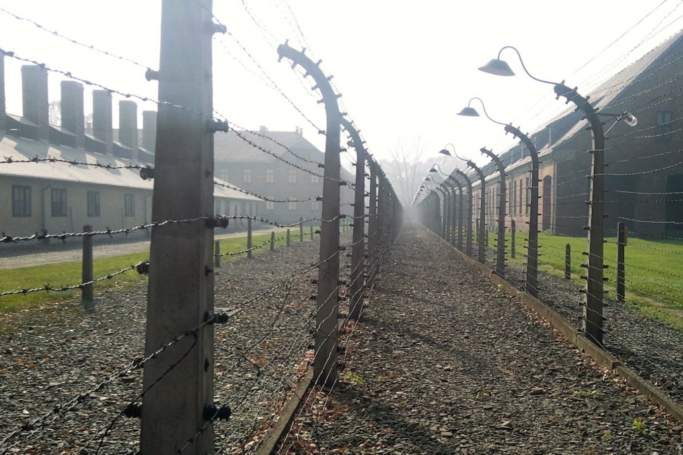 death-and-deception Image