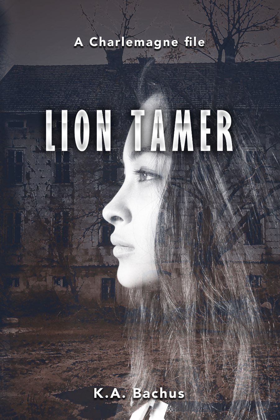 Lion Tamer Image
